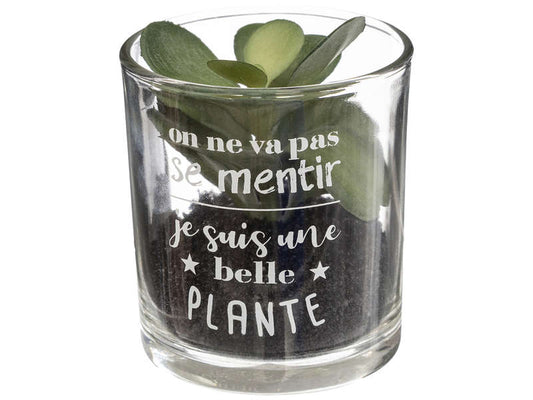 PLANTE ARTIFICIELLE CONFORAMA POT EN VERRE