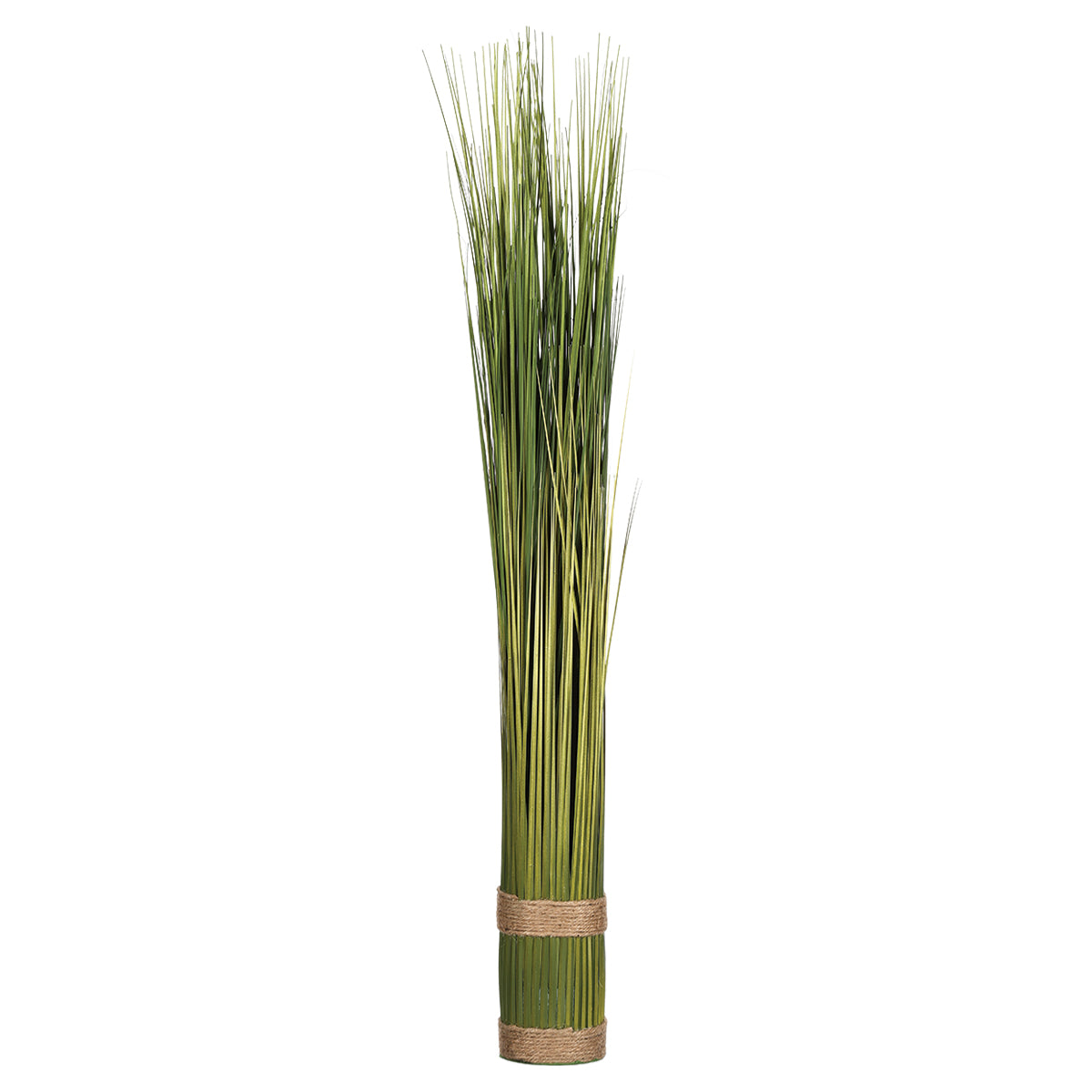 FAGOT HERBE ATMOSPHERA