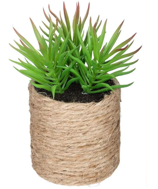 PLANTE VERTE CORDE ATMOSPHERA ETNIK