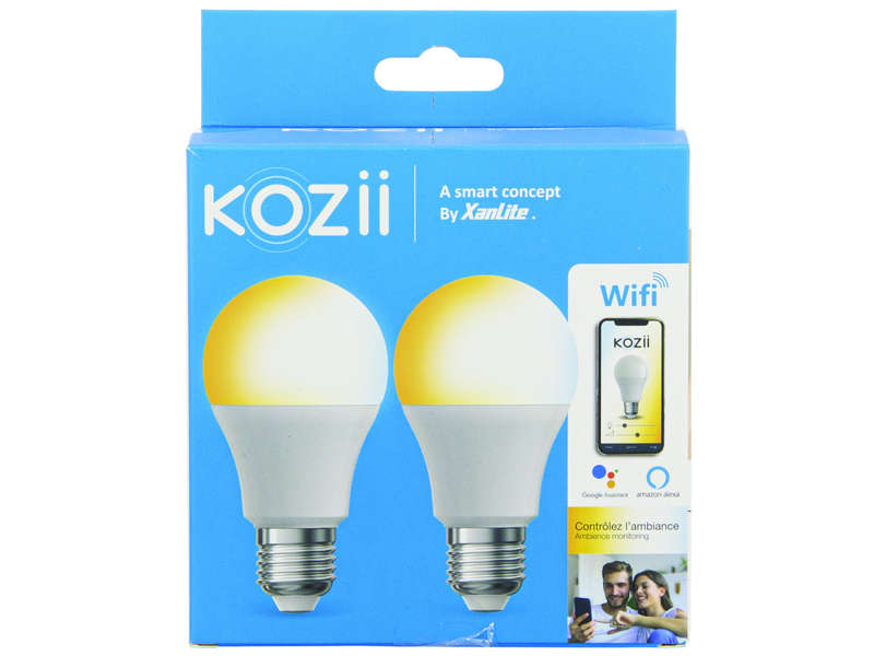 LOT DE 2 AMPOULES 806LM